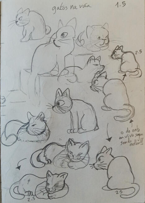 Cats on the street Life Drawings | Pencil on sketchbook