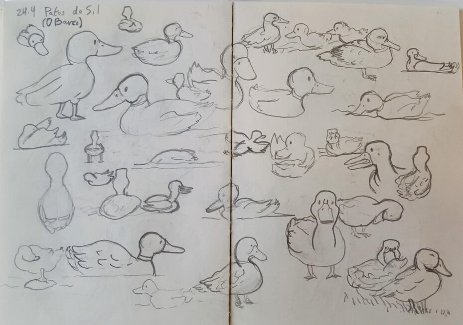 Ducks Life Drawings | Pencil on sketchbook