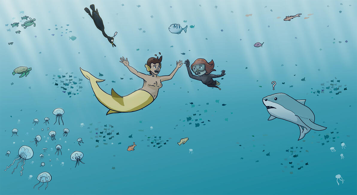 Under the Sea | Illustration